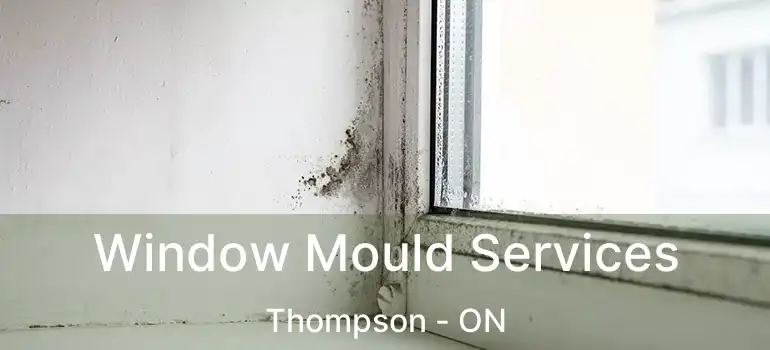  Window Mould Services Thompson - ON
