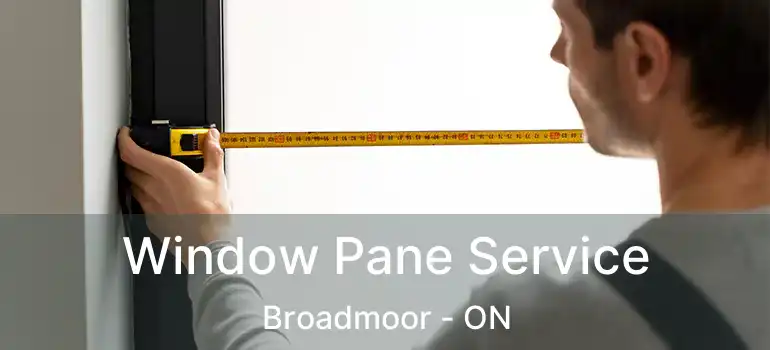  Window Pane Service Broadmoor - ON