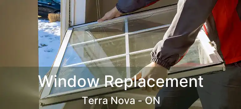  Window Replacement Terra Nova - ON