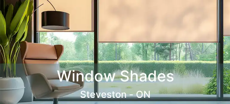  Window Shades Steveston - ON