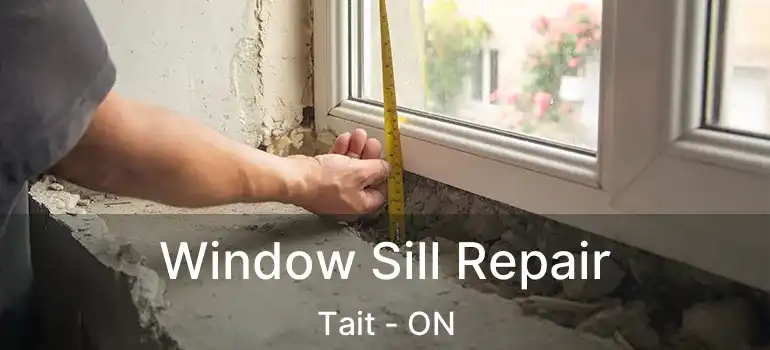  Window Sill Repair Tait - ON