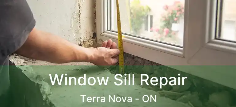  Window Sill Repair Terra Nova - ON
