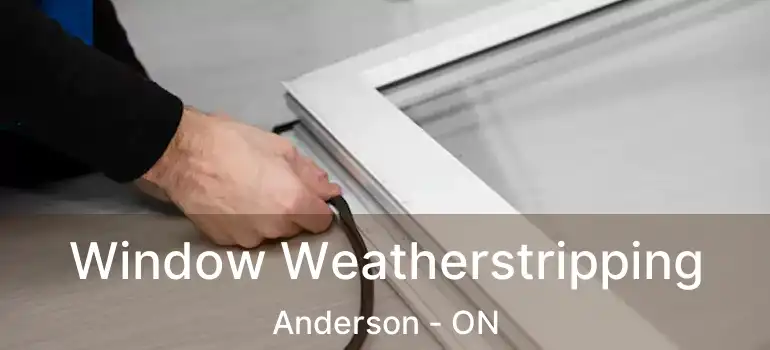  Window Weatherstripping Anderson - ON