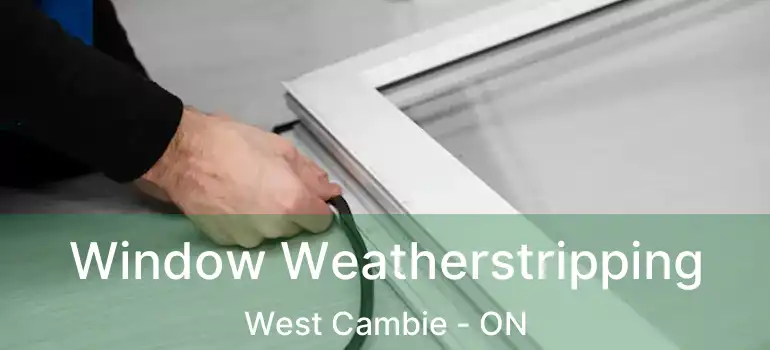  Window Weatherstripping West Cambie - ON