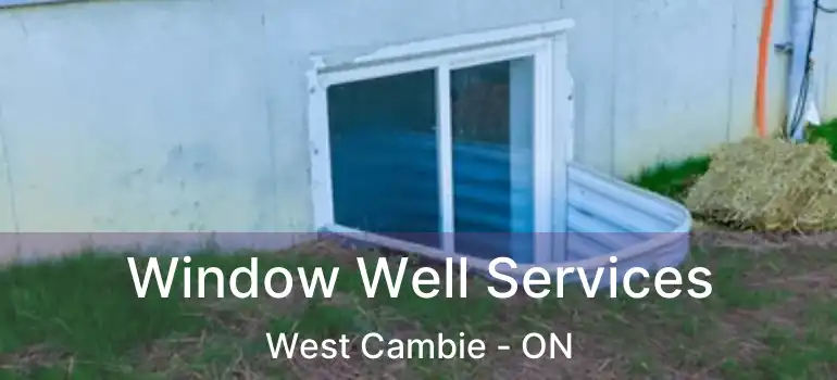  Window Well Services West Cambie - ON